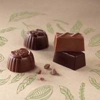 Les Chocolats Vegan 