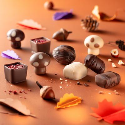 Les Chocolats d'Automne